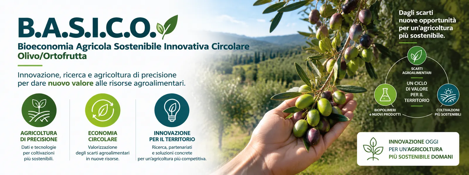 B.A.S.I.C.O. – Bioeconomia Agricola Sostenibile Innovativa Circolare Olivo/Ortofrutta