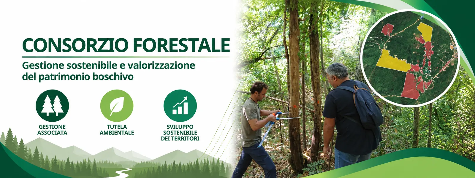 Consorzio Forestale – Gestione sostenibile e valorizzazione del patrimonio boschivo